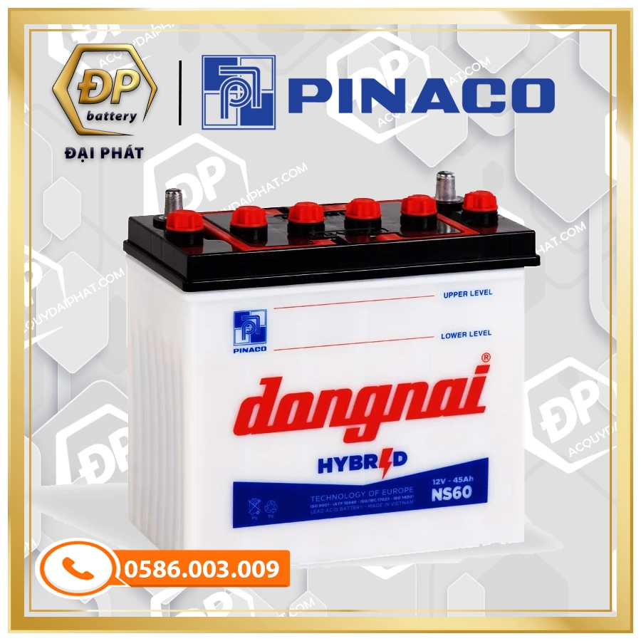 Ắc Quy Đồng Nai NS60 (12V-45Ah)