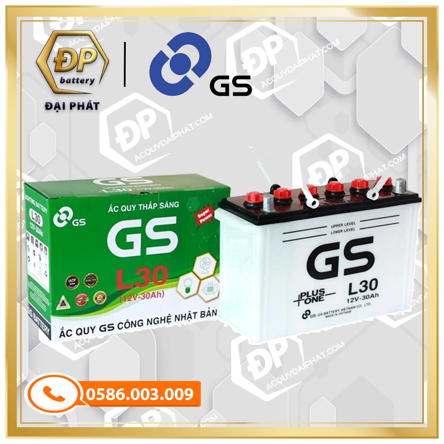 Ắc Quy GS L30 (12V-30Ah)