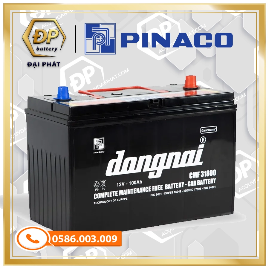 Ắc Quy Đồng Nai CMF 31800 (12V-100Ah)